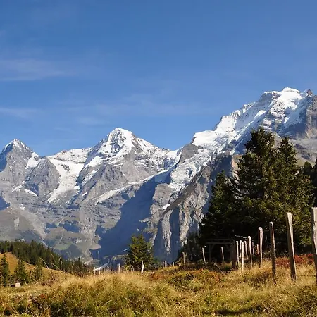 Bim Chilchli Murren