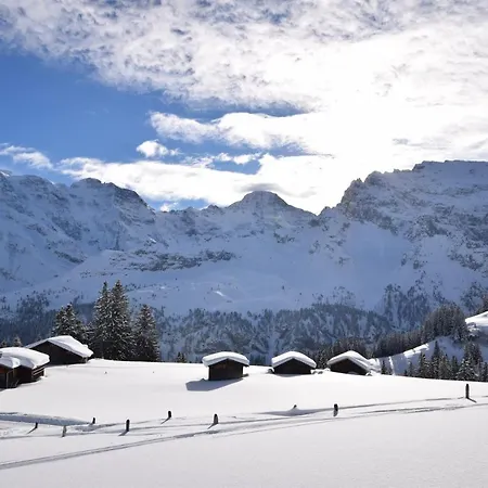 Bim Chilchli Apartment Murren