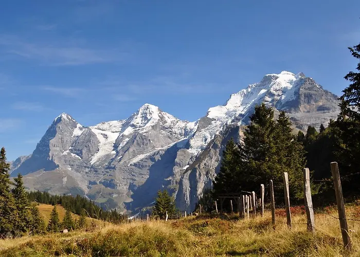 Bim Chilchli Mürren