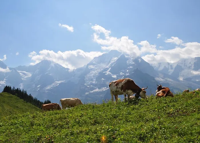 Appartamento Bim Chilchli